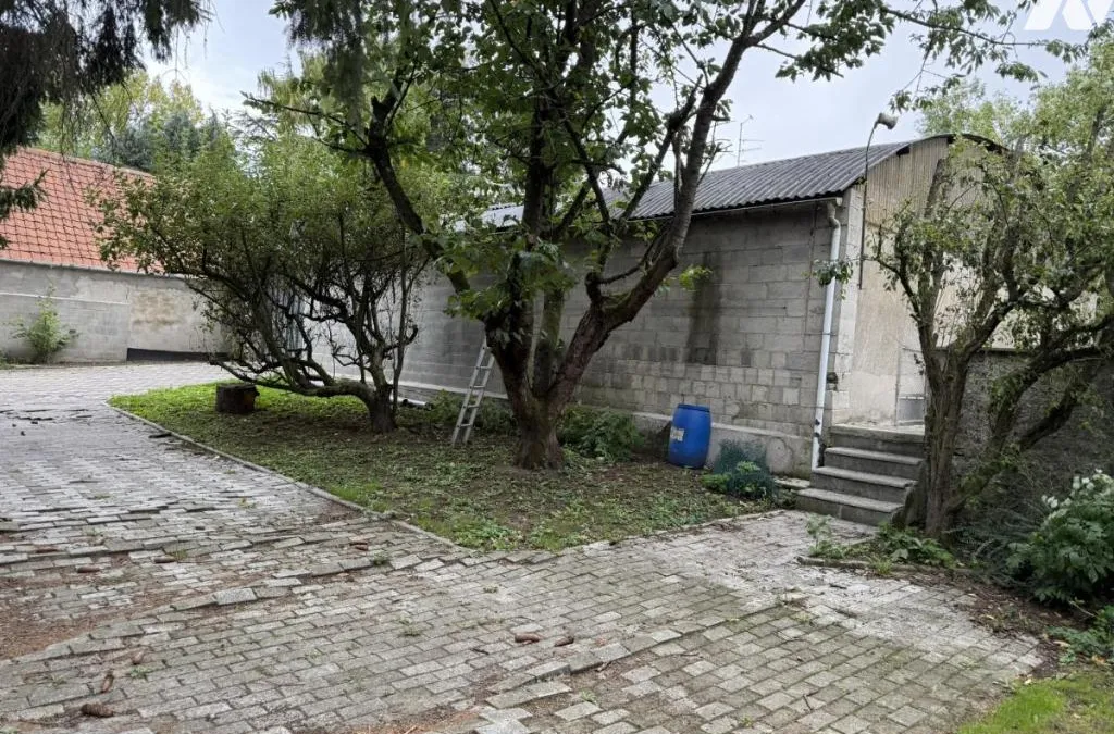 Photo 23