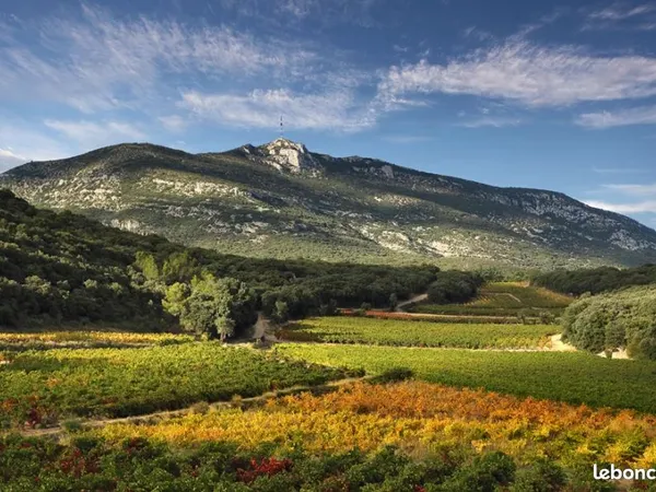 Domaine viticole bio clé en main - AOP Terrasses du Larzac