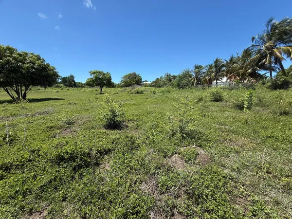 Belle opportunité : Grand terrain plat de 3 000 m² très facile d'accès