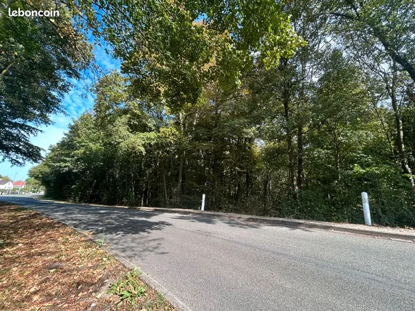 BOIS DE 3906m2 à la sortie de Lèves (le Gorget)