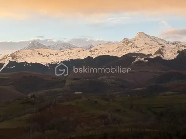 Terrain 1831 m²