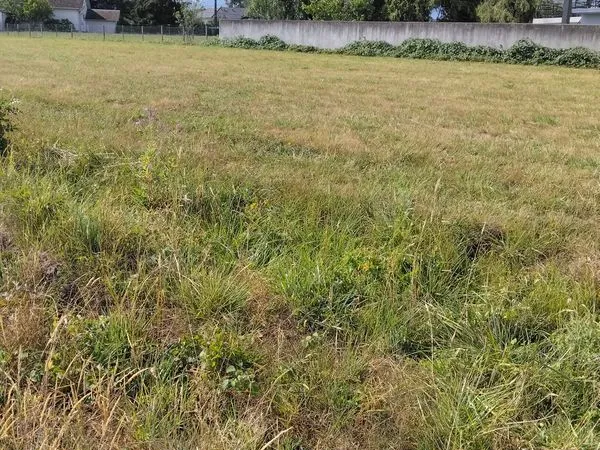 Terrain constructible