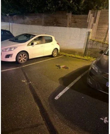 Vente ou location place de parking