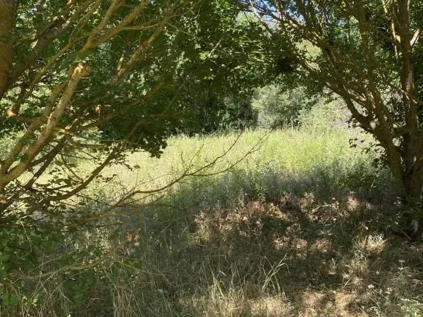 Terrain 1 000 m² Jouques
