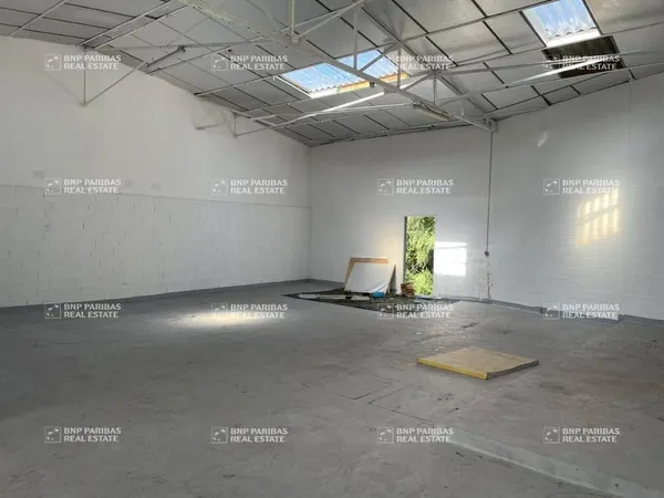 Local d'activité 246 m²