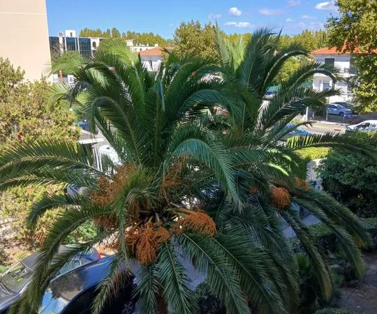 Appartement de 82m2 à louer sur Fréjus