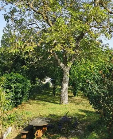 Maison 29m2