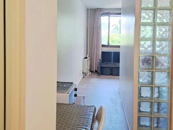 Appartement 1 pièce 26 m²