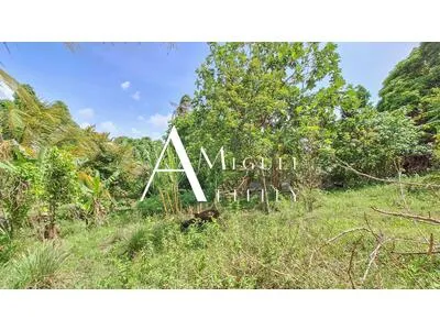 À Terreville, la nature a déjà commencé le jardin (895m²)