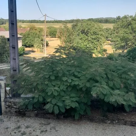 Maison de campagne à louer