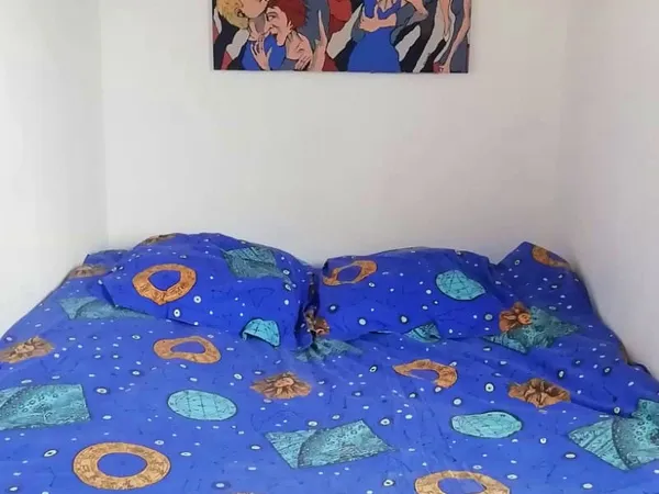 Loue une chambre, idéal étudiant, dans maison à 10mn de la gare du Nord - Épinay-sur-Seine (93)
