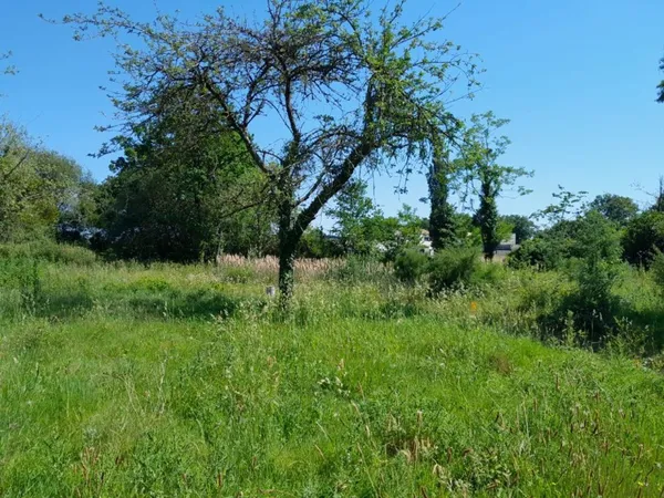 Terrain 497 m²