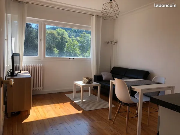Location 2 pièces meublé Centre ville Saint-Etienne - Place Chavanelle - 550/mois C.C