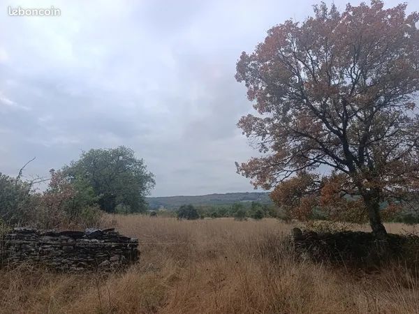Terrain à vendre - Loisirs et Truffes