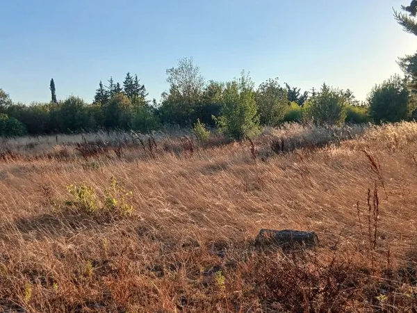 Vend Terrain agricole