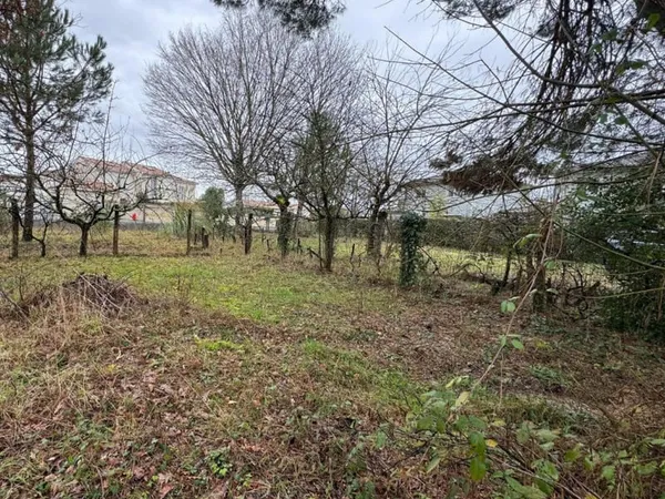 Terrain 650 m²