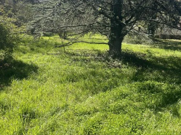 Terrain à Gratentour