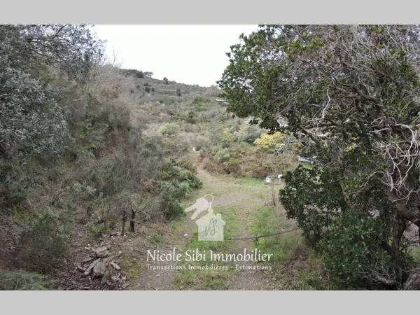 Terrain en individuel 54574 m²