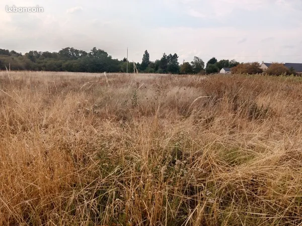Terre agricole 6ha