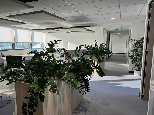 Local professionnel 379 m²