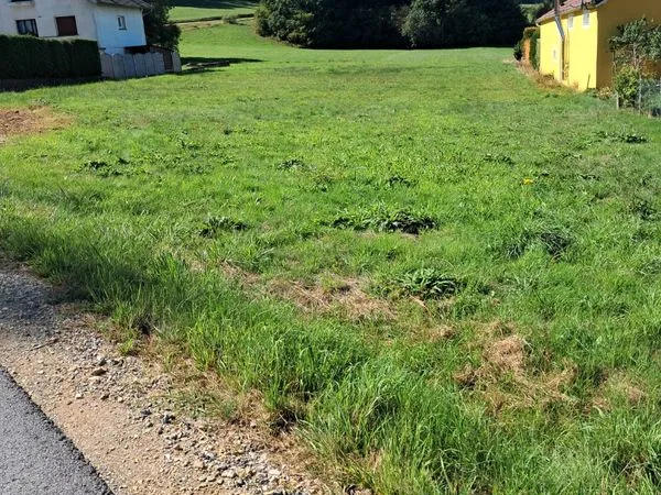 Terrain constructible