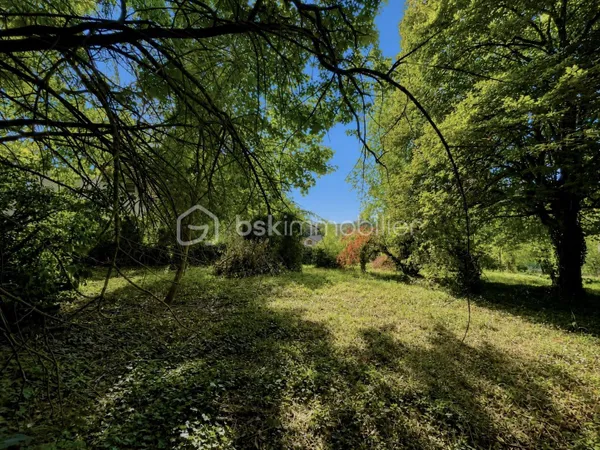Terrain 3313 m²