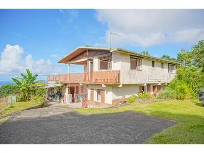 BASSE-POINTE - ENSEMBLE IMMOBILIER DE 5 MAISONS SUR 15 929 M²