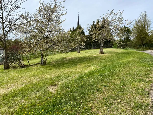 Terrain Cousance 1323 m2