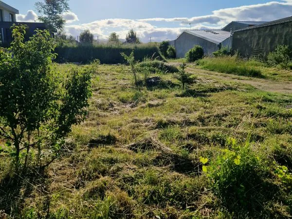 Terrain AOUSTE SUR SYE