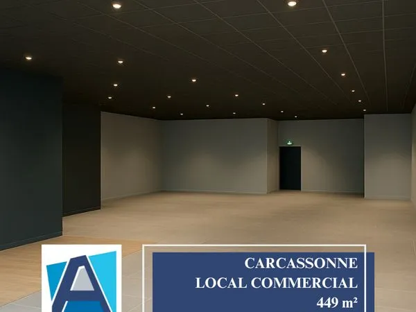 Local 449 m² CARCASSONNE