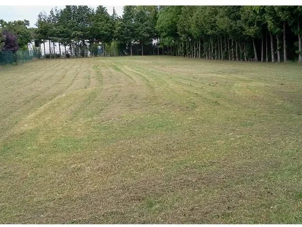 Terrain 732 m²