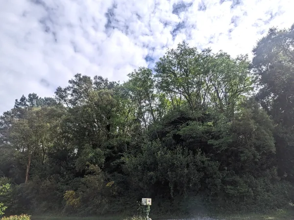 FORET 1.4 hectare au coeur de TARNOS