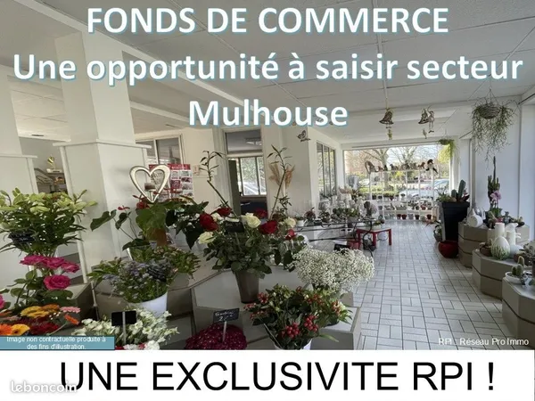 Local fleuriste 245 m²