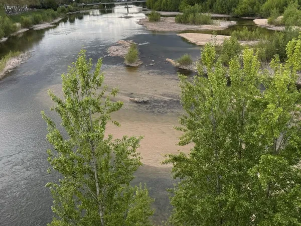 Colocation au bord de la Loire à Orléans