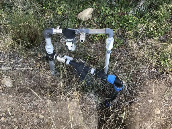propriété agricole oliveraie