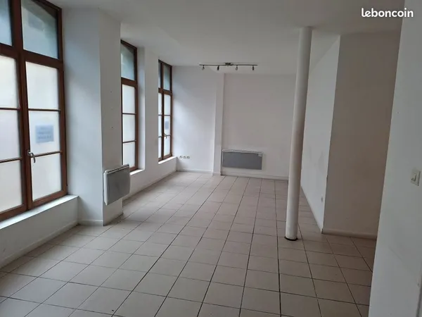 Local professionnel