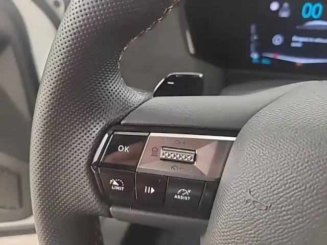 Ds Ds 4 hybride e-tense 225 eat8 — photo 43