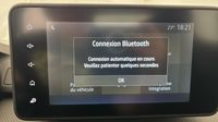 Dacia Sandero 1.0 ECO-G 100ch Stepway Essential -24 — photo 18