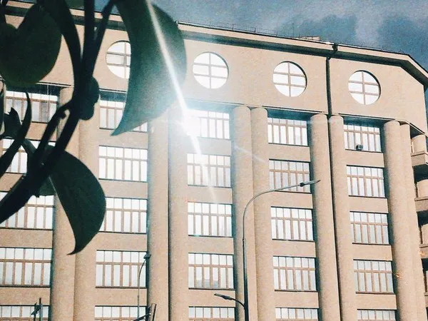 Local bureaux 51 m²