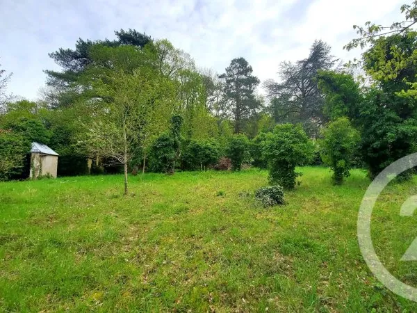 Terrain 3313 m²