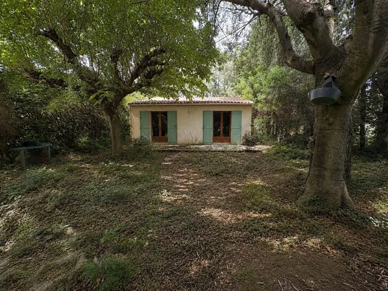 Photo 20