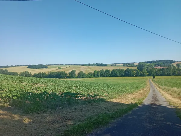 idéal pour ferme ou élevage