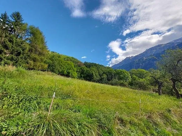 Vaujany - Terrain Avec Permis De Construire