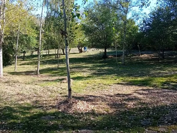 Terrain de loisirs