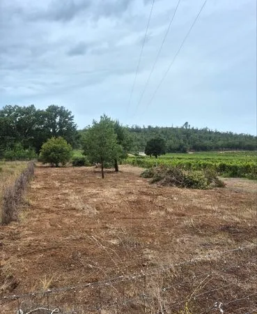 Terrain agricole