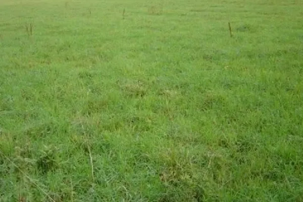 Terrain 716 m²