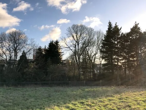 Terrain 350 m²