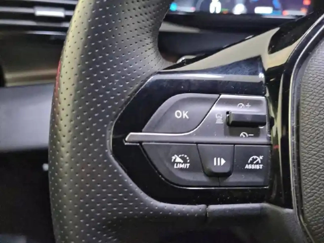 Peugeot 308 phev 225 e-eat8 — photo 31