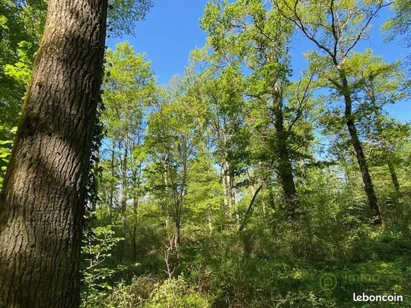 Terrain 81751 m² SAINT HILAIRE LES ANDRESIS