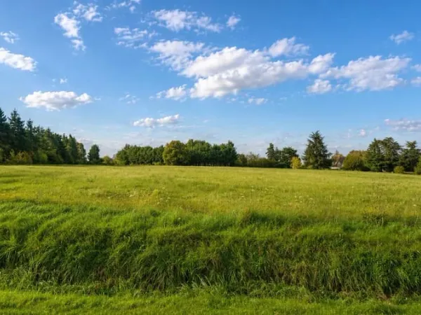 Terrain 453 m²